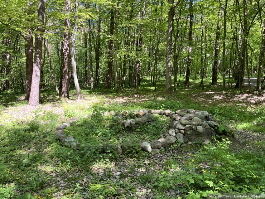 Чем дальше в лес- тем глубже овраги