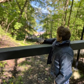 Чем дальше в лес- тем глубже овраги