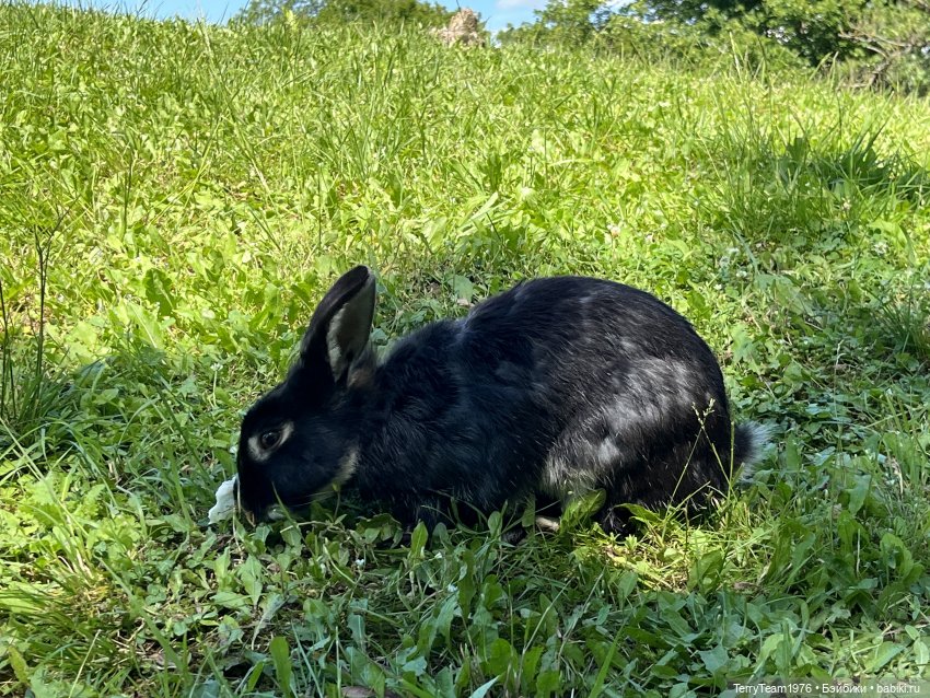 Форт №11 — Туризм и путешествия: фотоотчеты из поездок