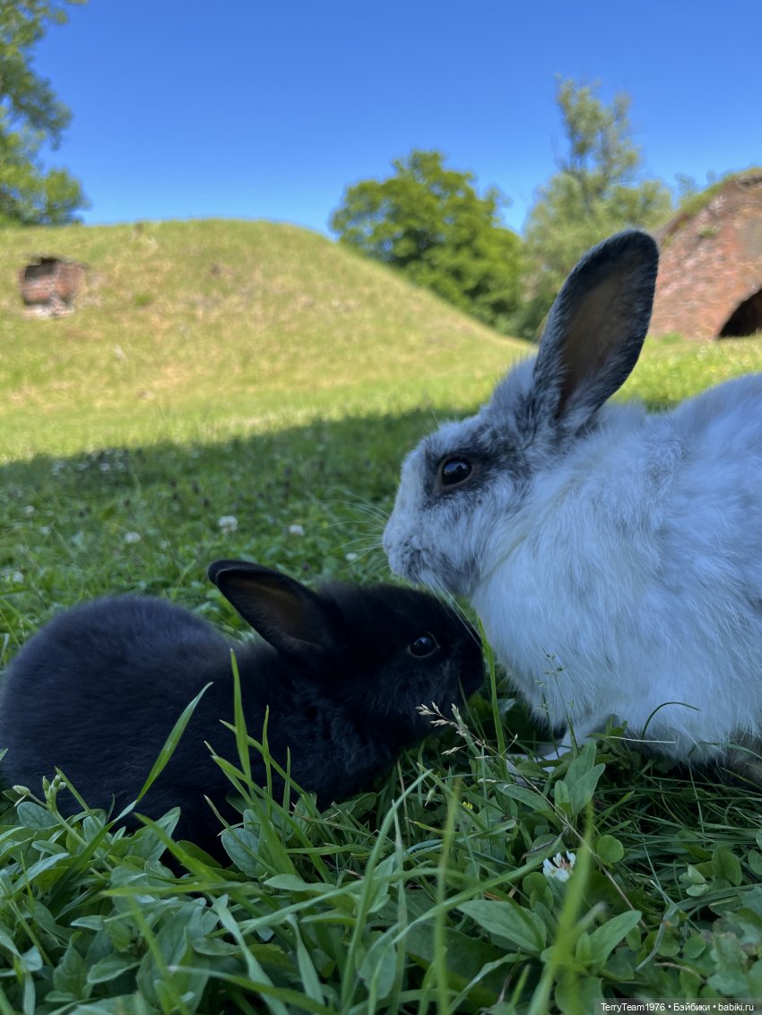 Форт №11 — Туризм и путешествия: фотоотчеты из поездок