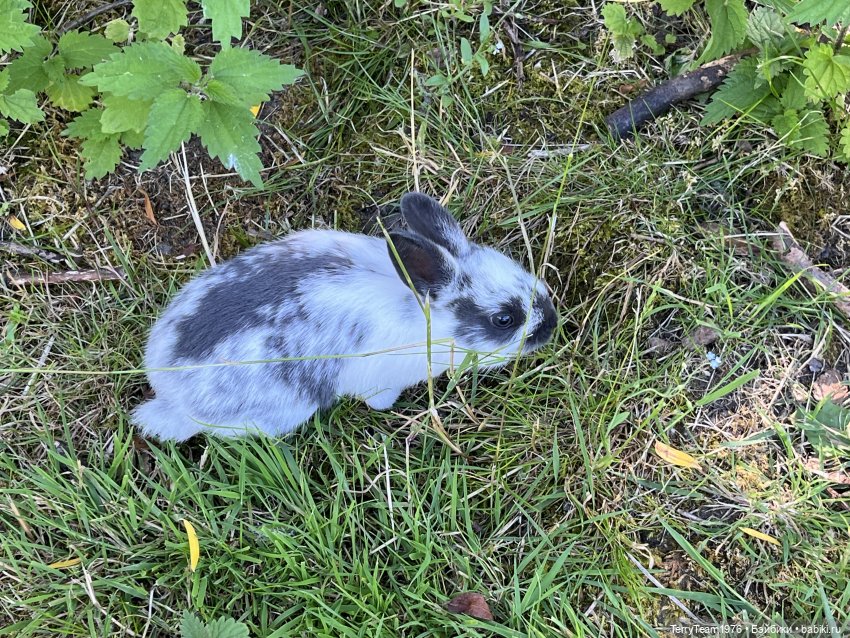 Форт №11 — Туризм и путешествия: фотоотчеты из поездок