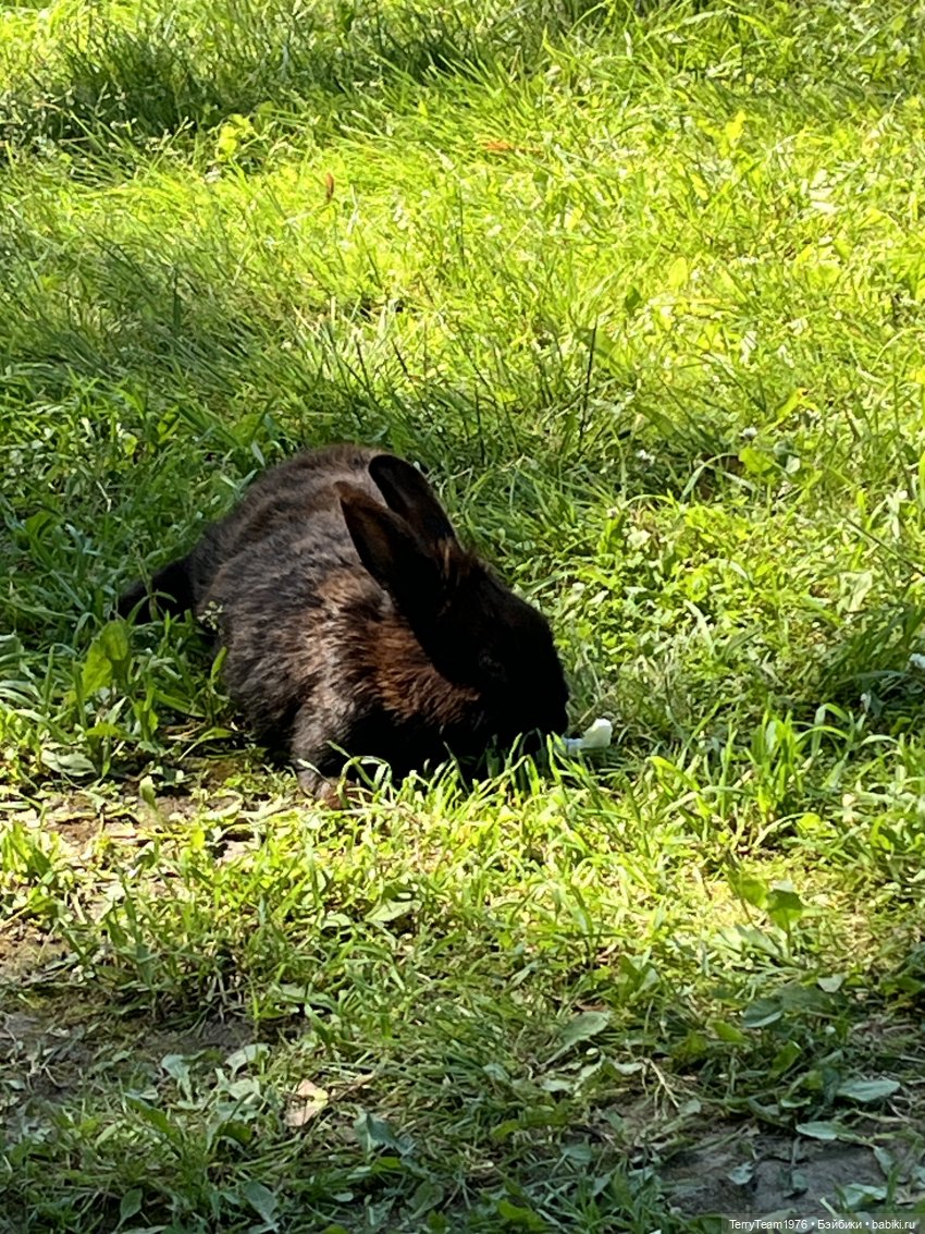 Форт №11 — Туризм и путешествия: фотоотчеты из поездок