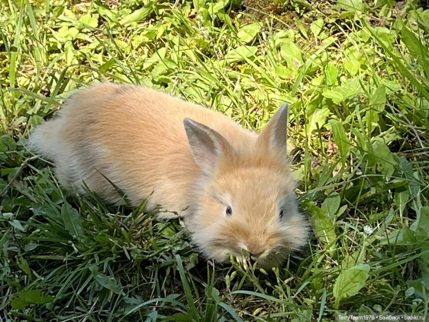 Форт №11 — Туризм и путешествия: фотоотчеты из поездок