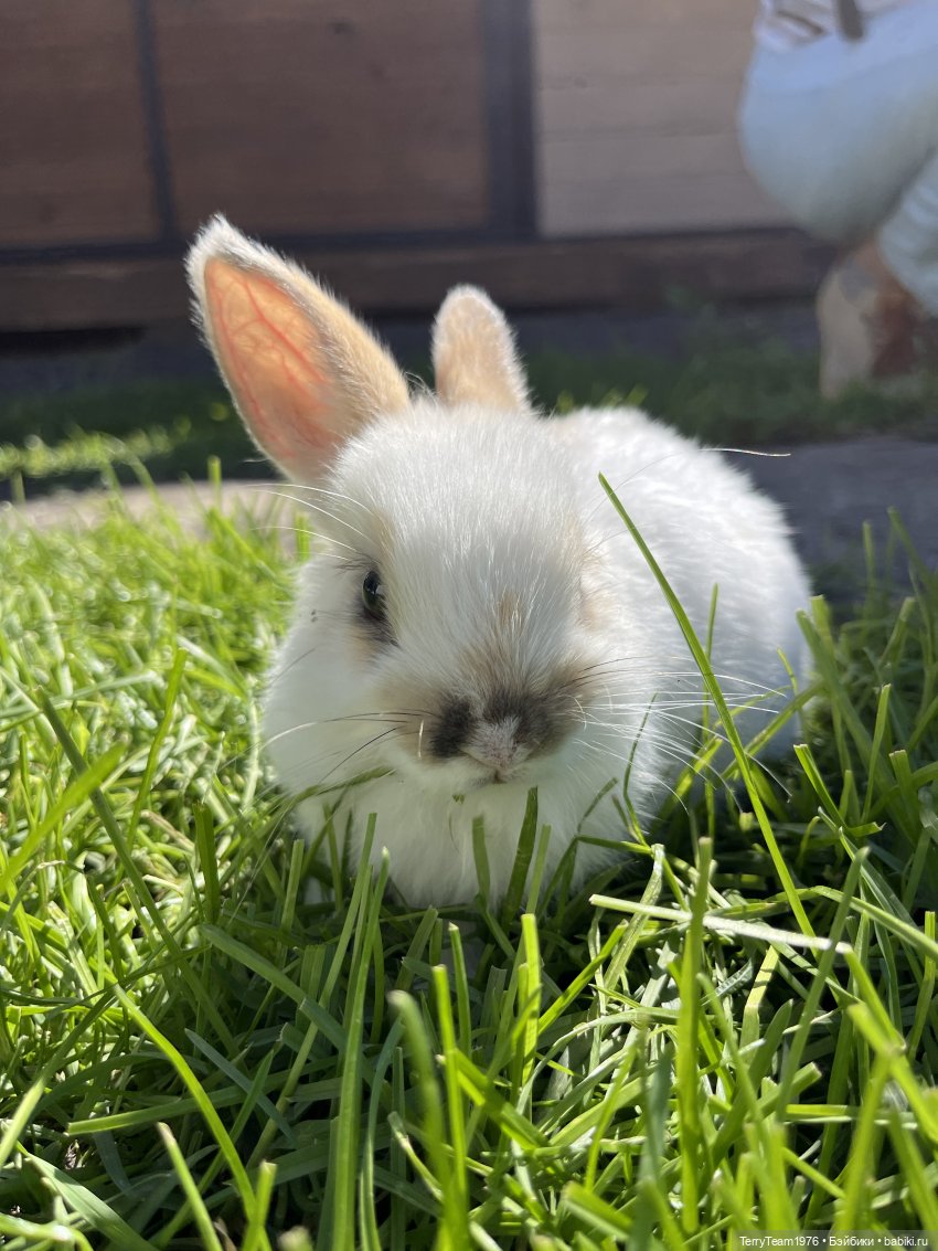 Форт №11 — Туризм и путешествия: фотоотчеты из поездок