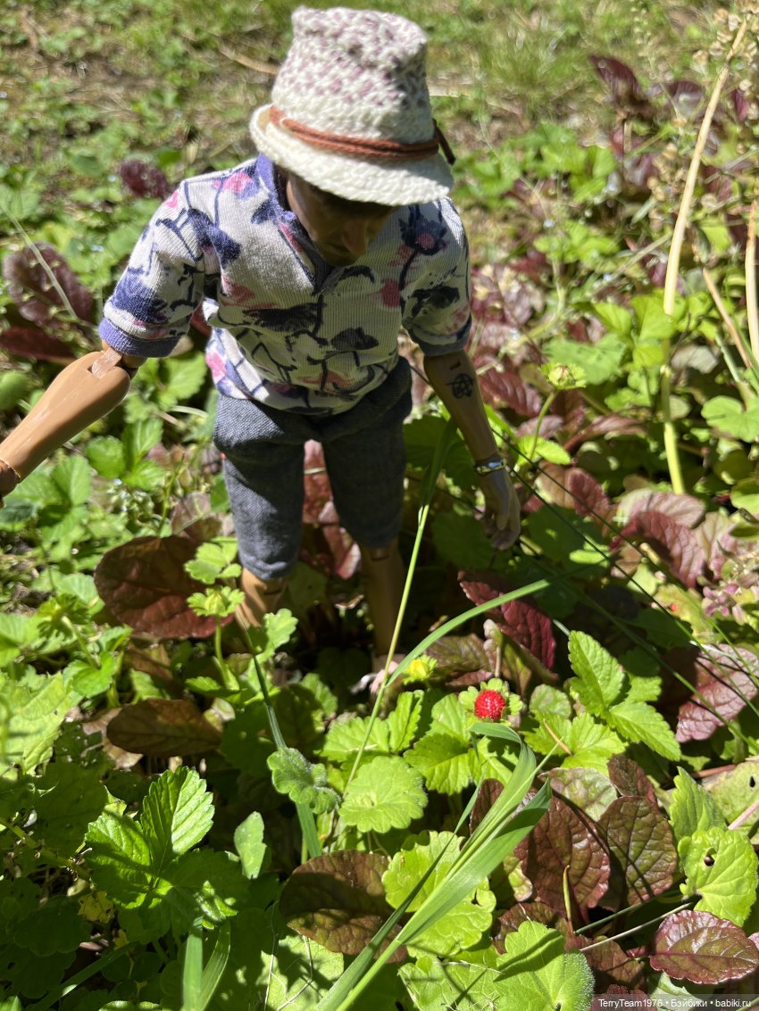 Ландшафтный парк — Коллекционные экшн