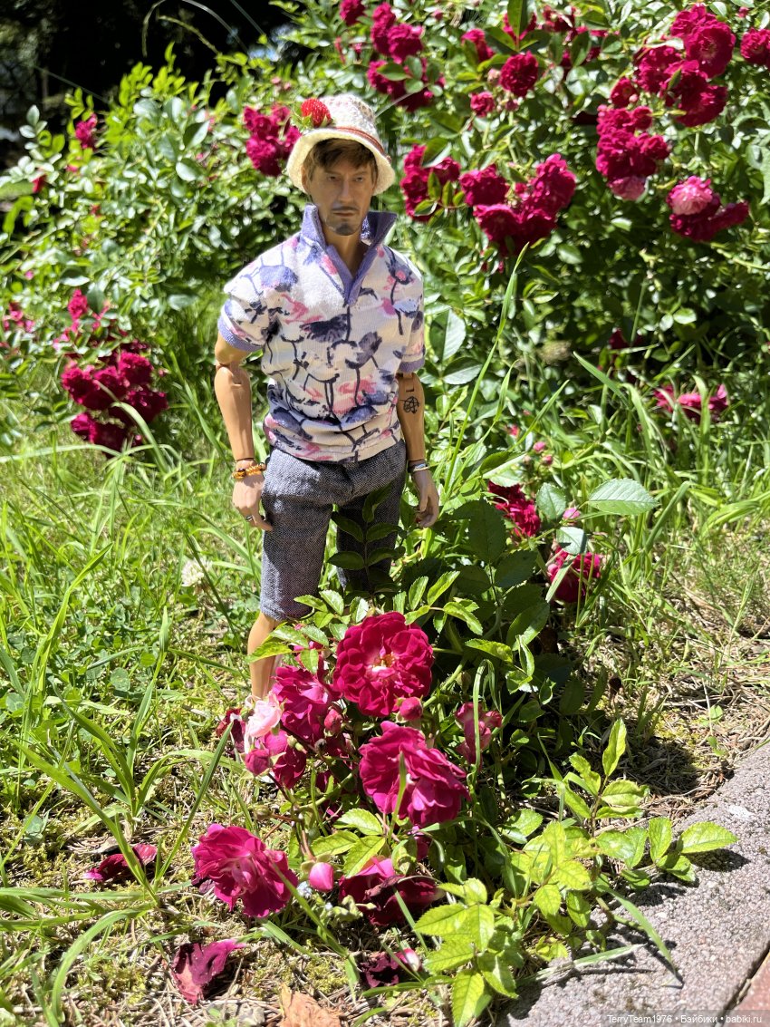 Ландшафтный парк — Коллекционные экшн