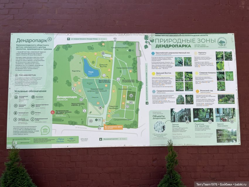 Ландшафтный парк — Коллекционные экшн