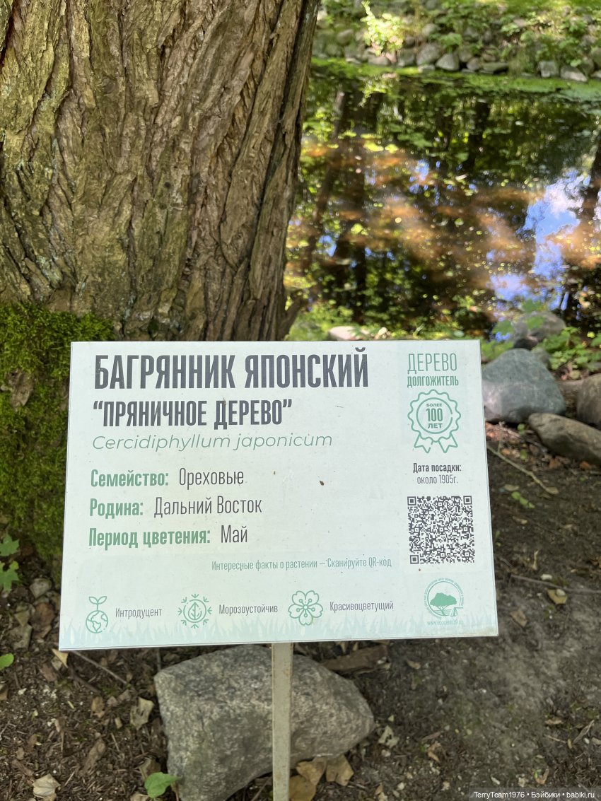 Ландшафтный парк — Коллекционные экшн