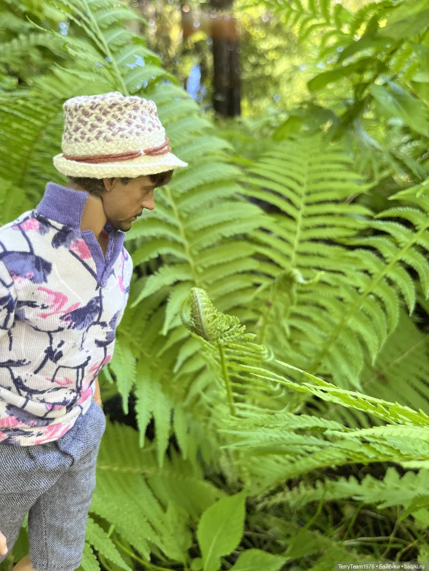 Ландшафтный парк — Коллекционные экшн