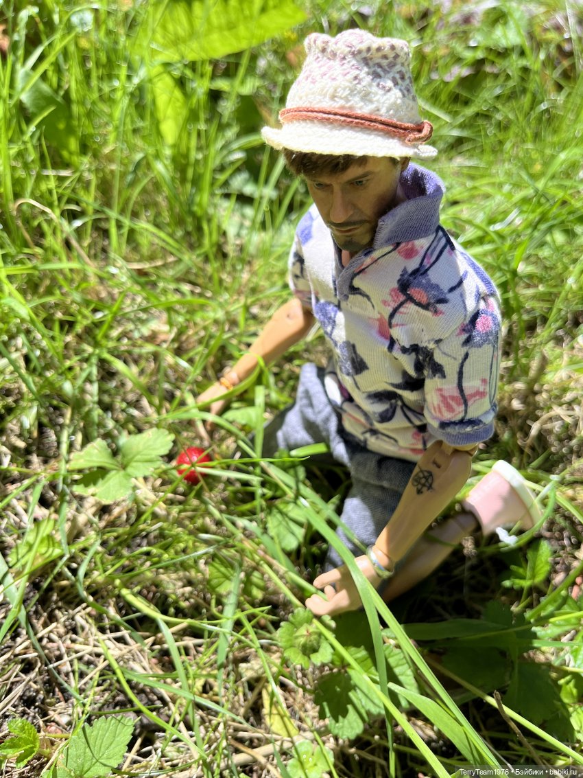 Ландшафтный парк — Коллекционные экшн