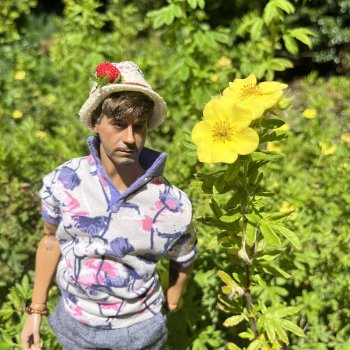 Ландшафтный парк