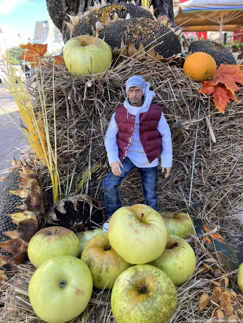 Тони Старк: Балтийская осень. Тыквы, каменюки и коряги (фото 2)