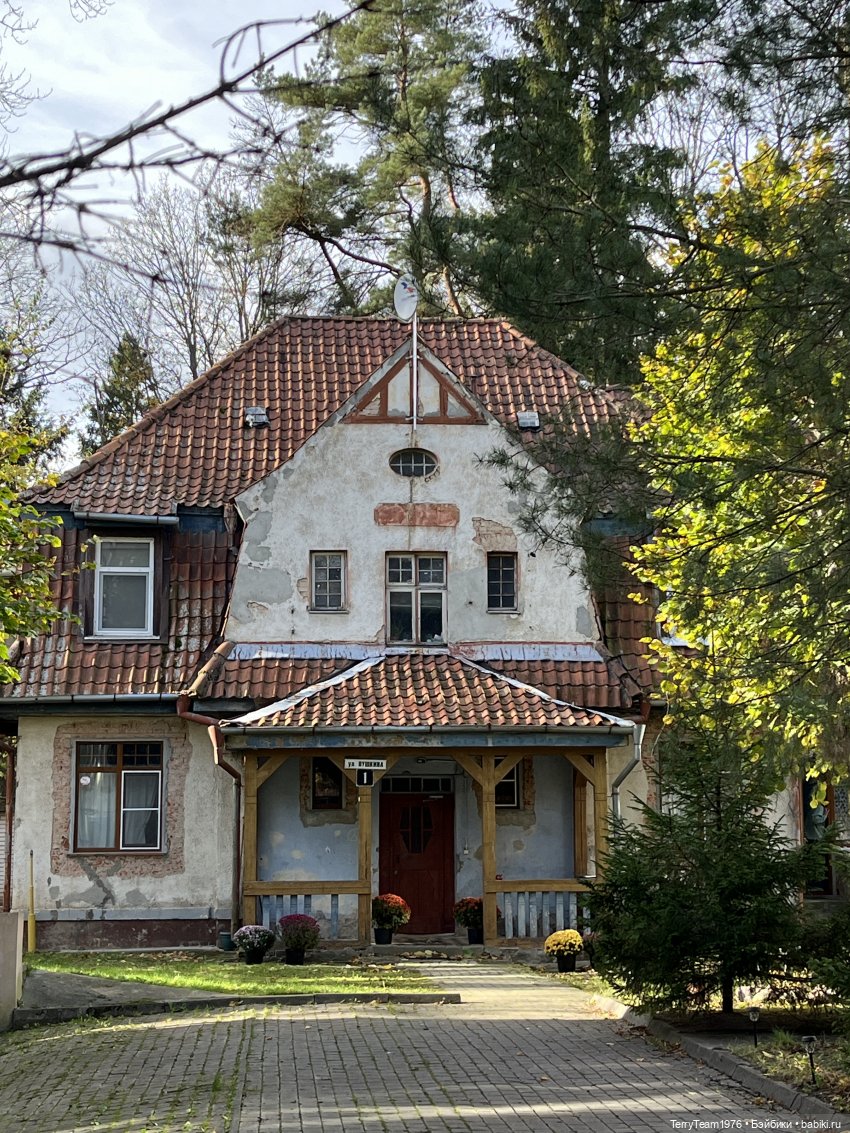 Светлогорские моЗайки — Туризм и путешествия: фотоотчеты из поездок (фото 5)