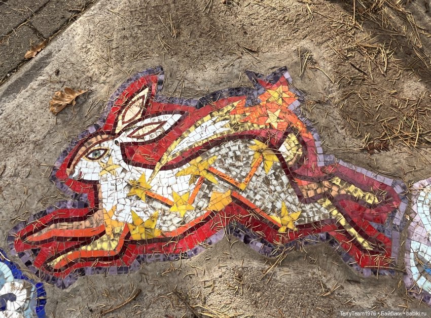 Светлогорские моЗайки — Туризм и путешествия: фотоотчеты из поездок