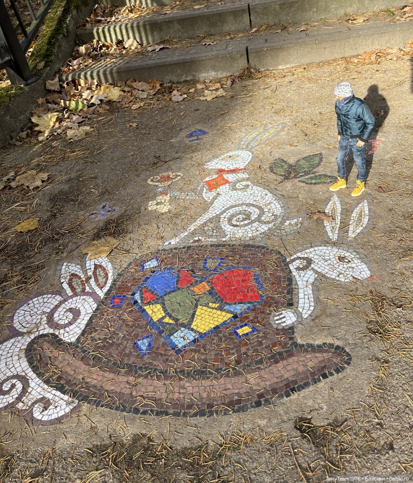 Светлогорские моЗайки — Туризм и путешествия: фотоотчеты из поездок