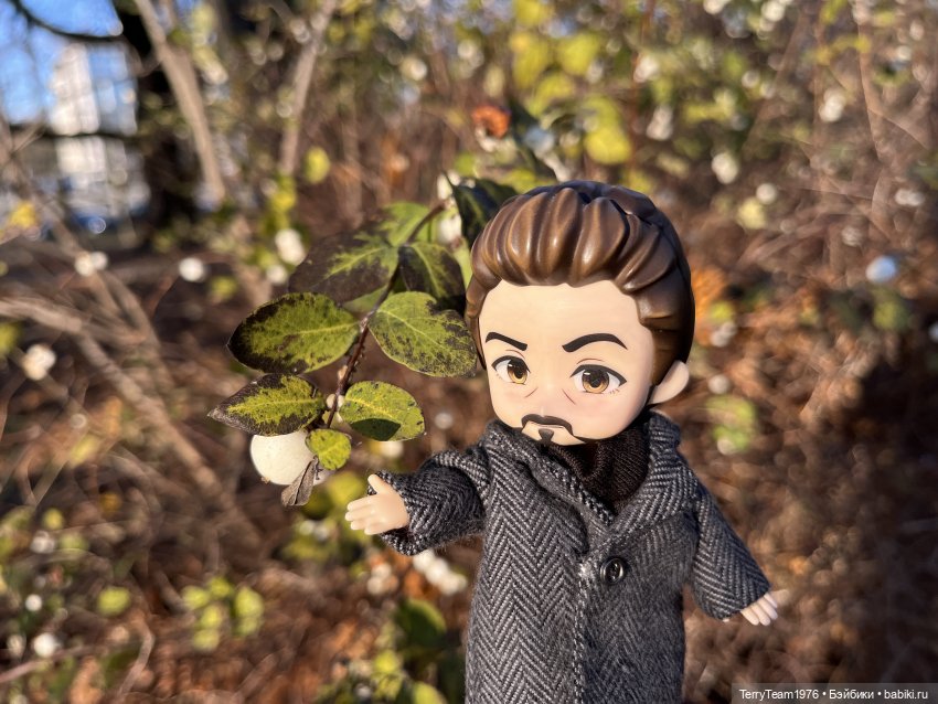 Директор — Гибриды шарнирных кукол (не БЖД): подбор тела