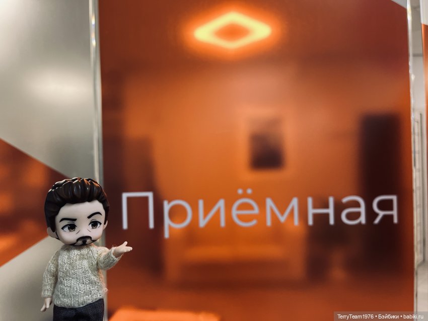 Директор — Гибриды шарнирных кукол (не БЖД): подбор тела (фото 2)