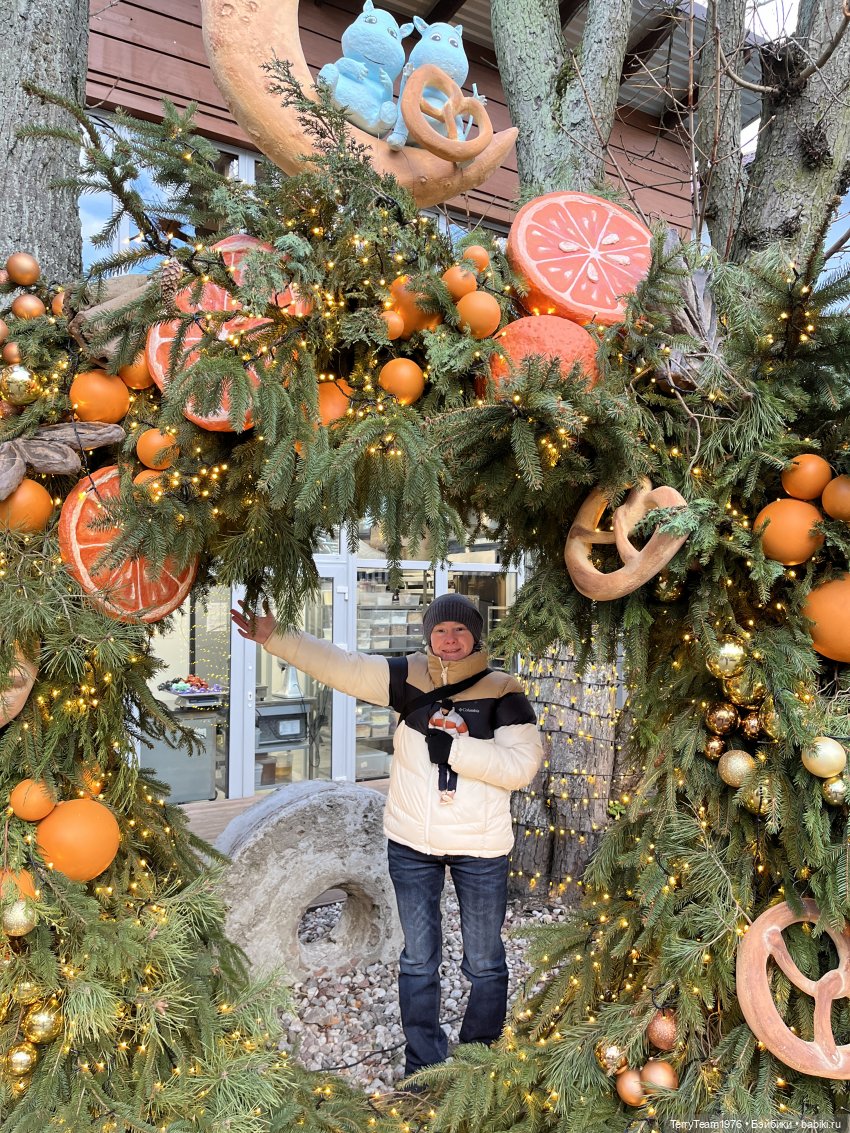 Тони Старк: Балтийский декабрь