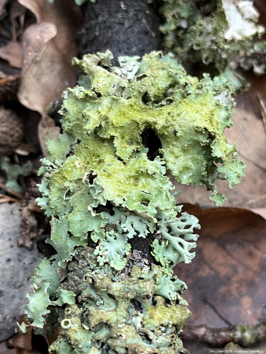 Тони Старк: Балтийский декабрь (фото 8)