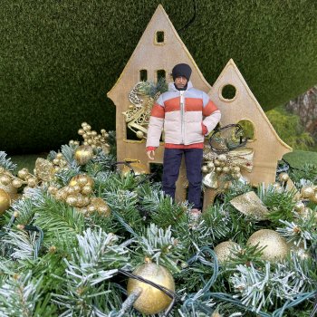 Тони Старк: Балтийский декабрь