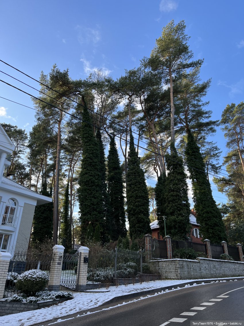 Такой вот январь. Часть 1