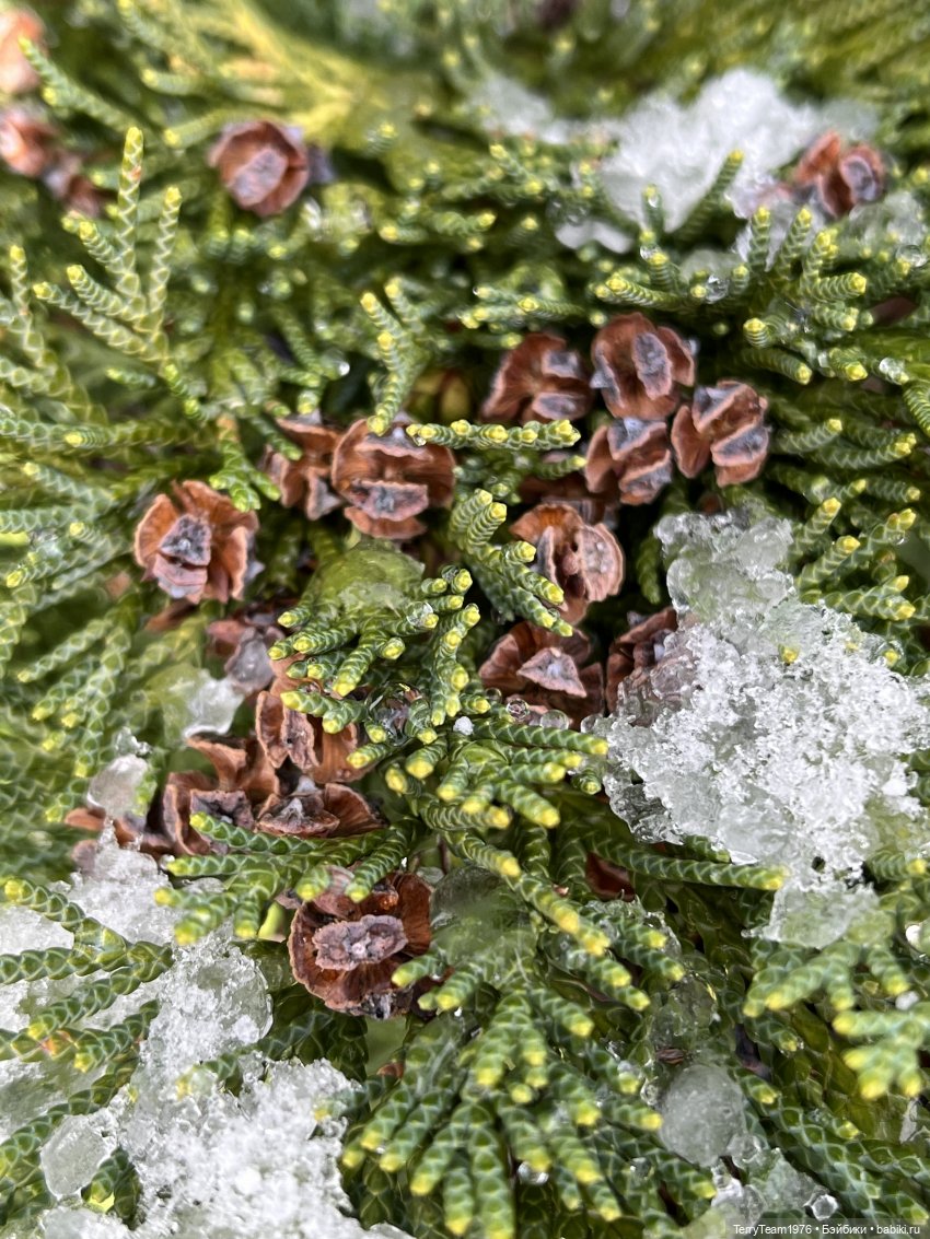 Такой вот январь. Часть 1
