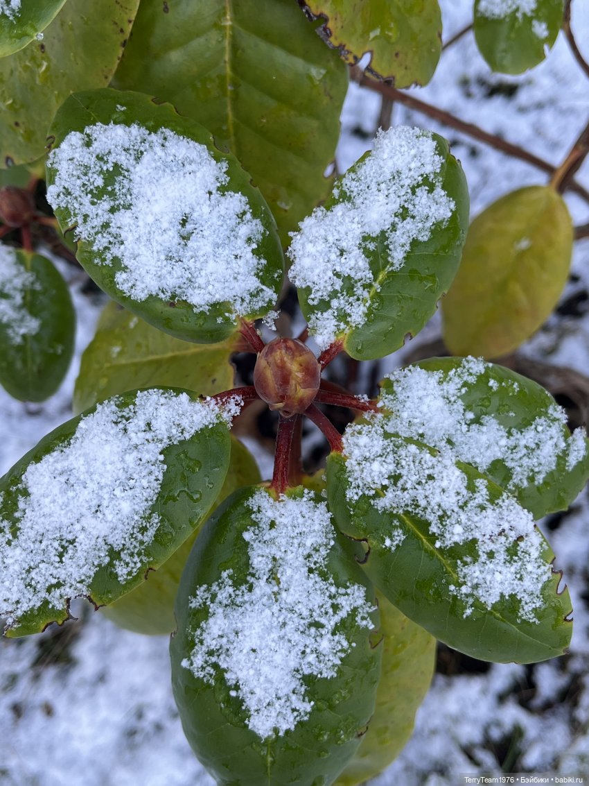 Такой вот январь. Часть 1