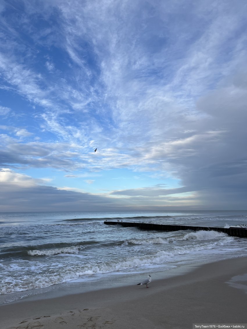 Такой вот январь. Часть 2