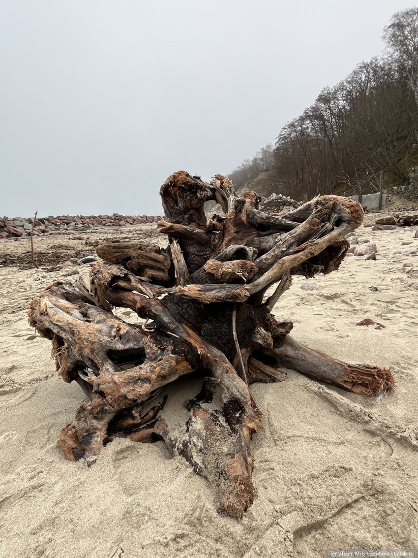 Такой вот январь. Часть 3