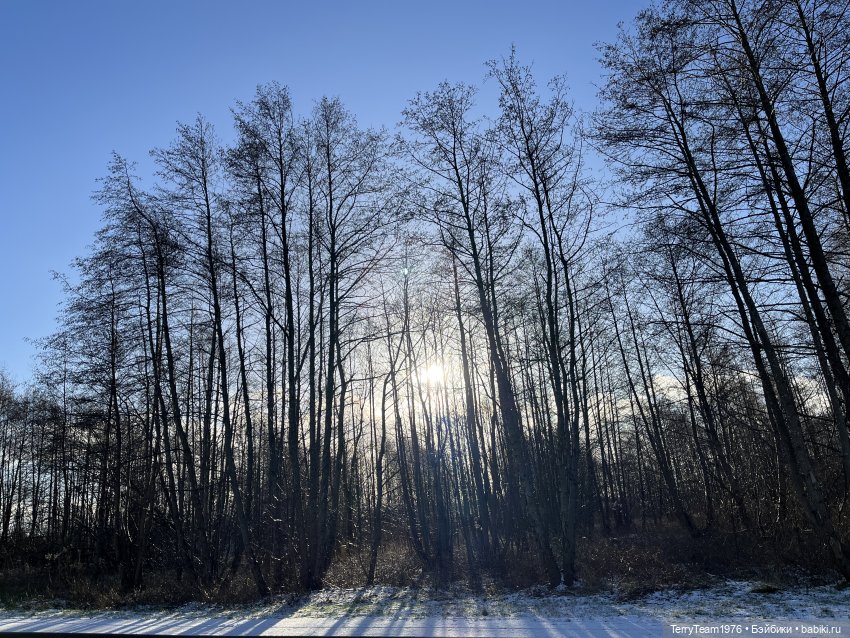 Такой вот январь. Часть 1