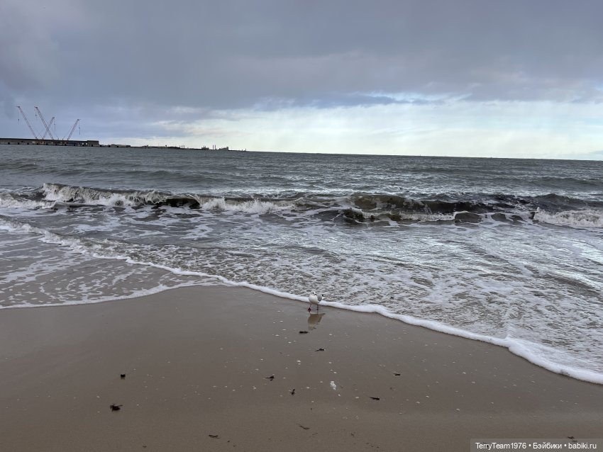 Такой вот январь. Часть 1 (фото 9)