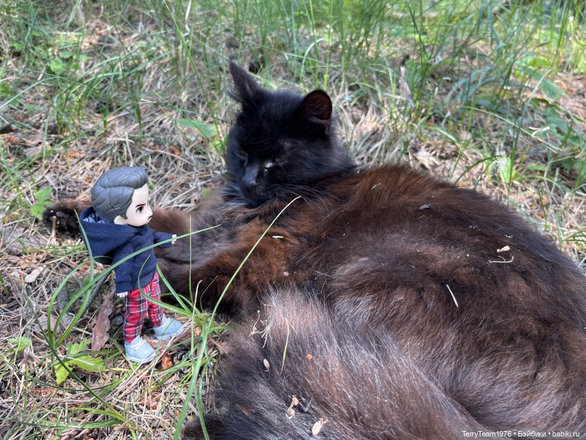 Удивительные путешествия мистера Чиби