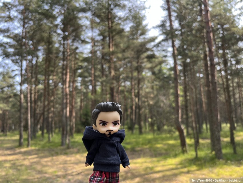 Удивительные путешествия мистера Чиби (фото 5)