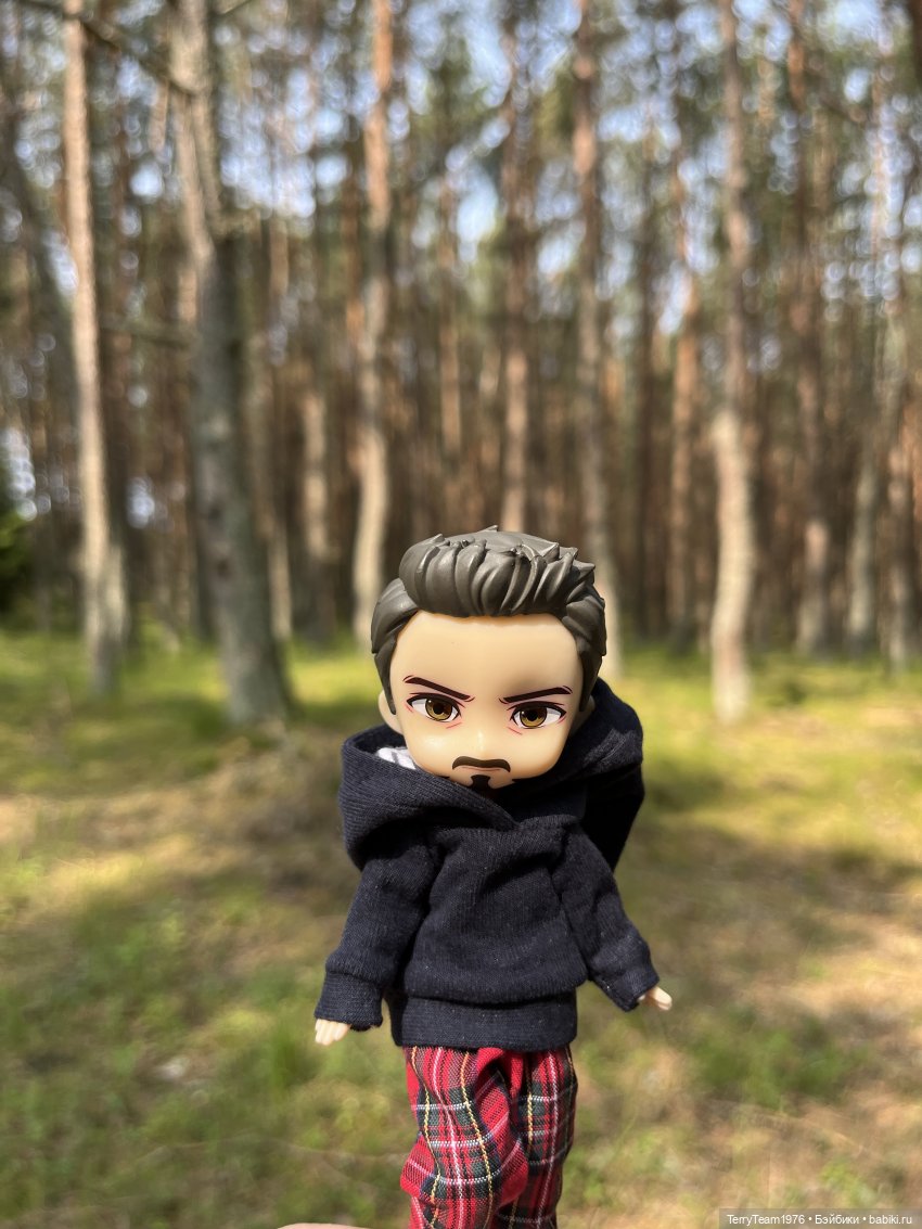 Удивительные путешествия мистера Чиби (фото 2)