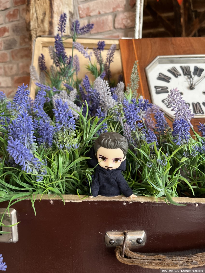 Удивительные путешествия мистера Чиби