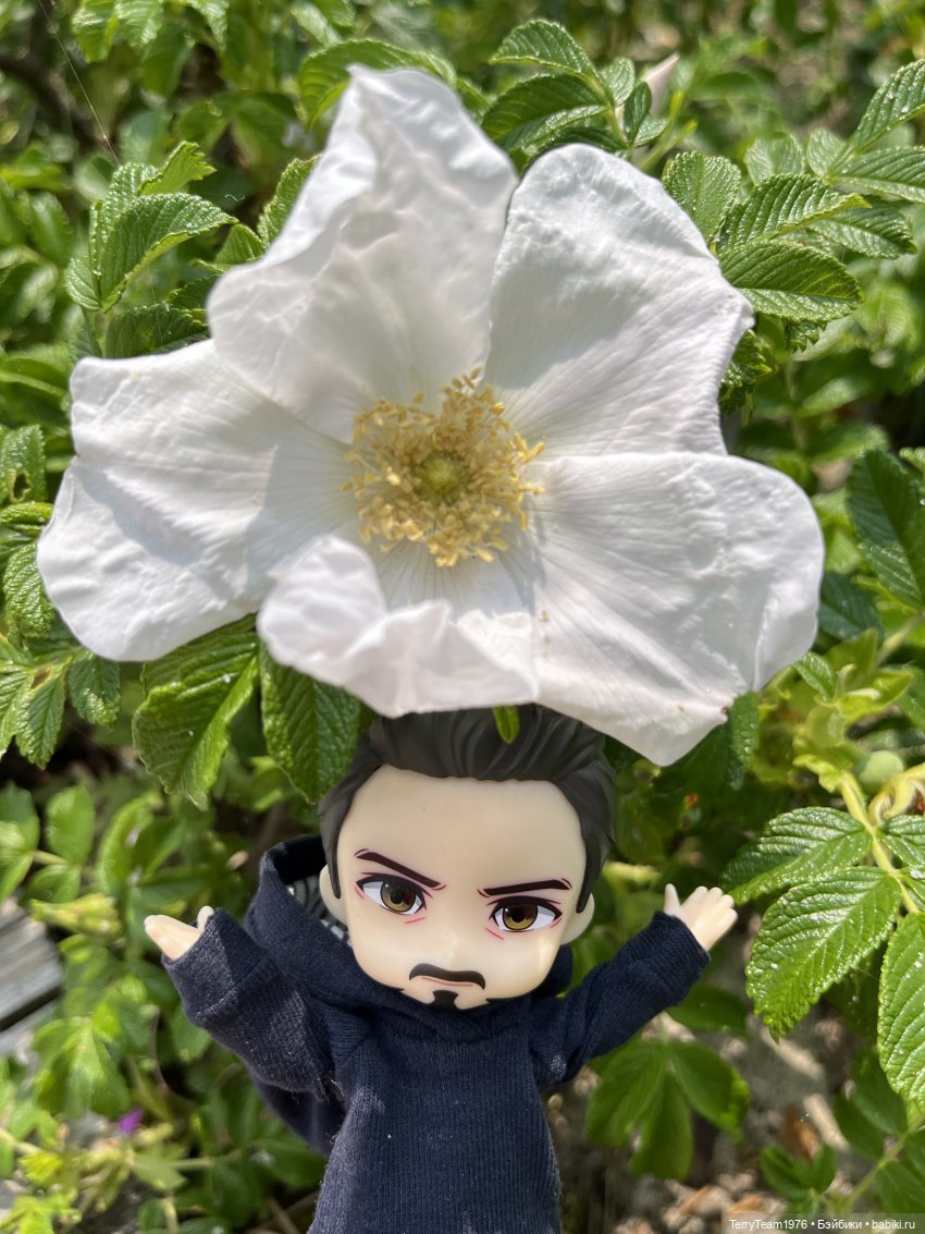 Удивительные путешествия мистера Чиби