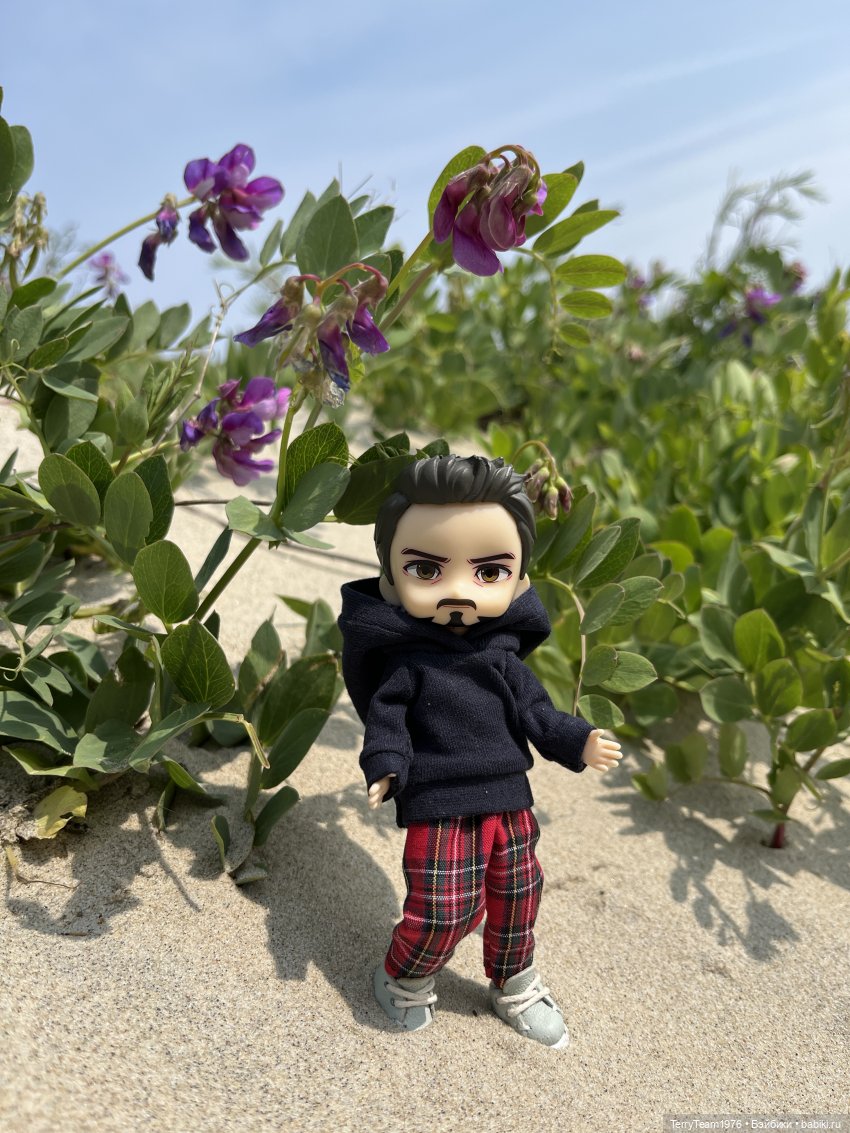 Удивительные путешествия мистера Чиби