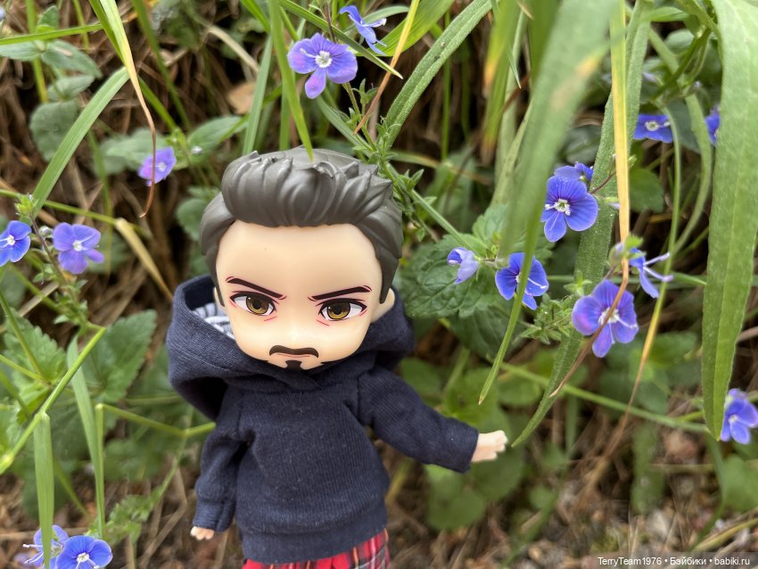 Удивительные путешествия мистера Чиби (фото 10)