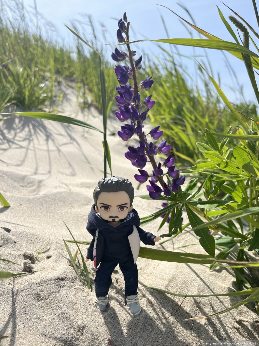 Удивительные путешествия мистера Чиби