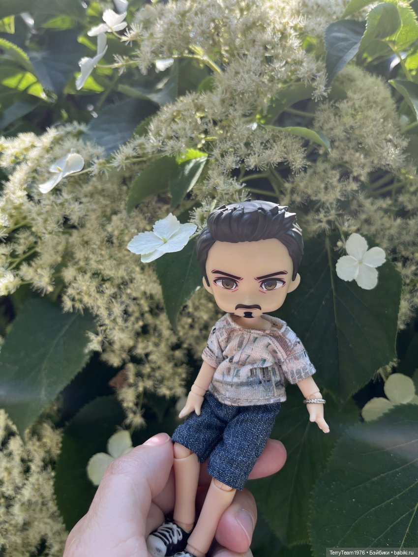 Удивительные путешествия мистера Чиби