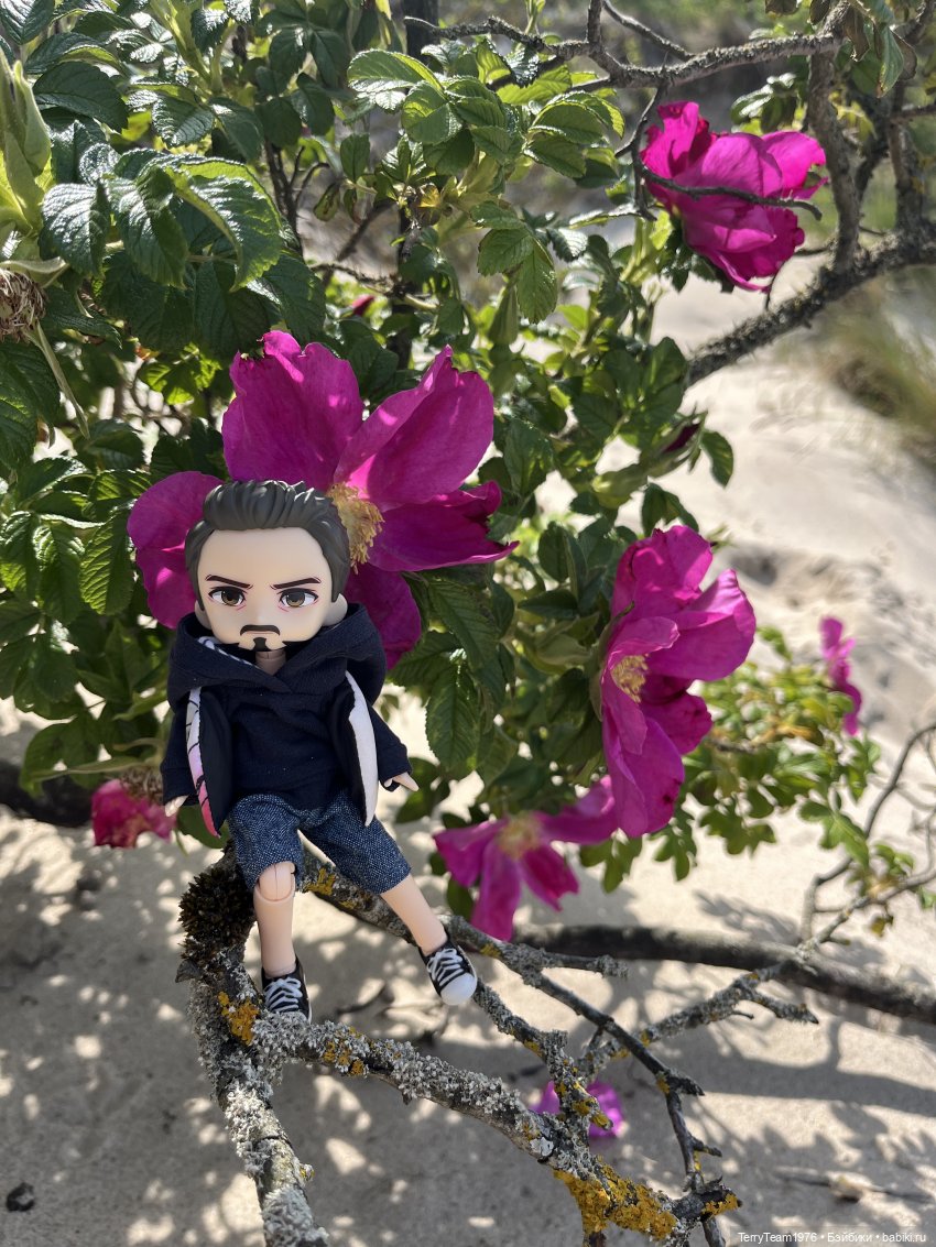 Удивительные путешествия мистера Чиби