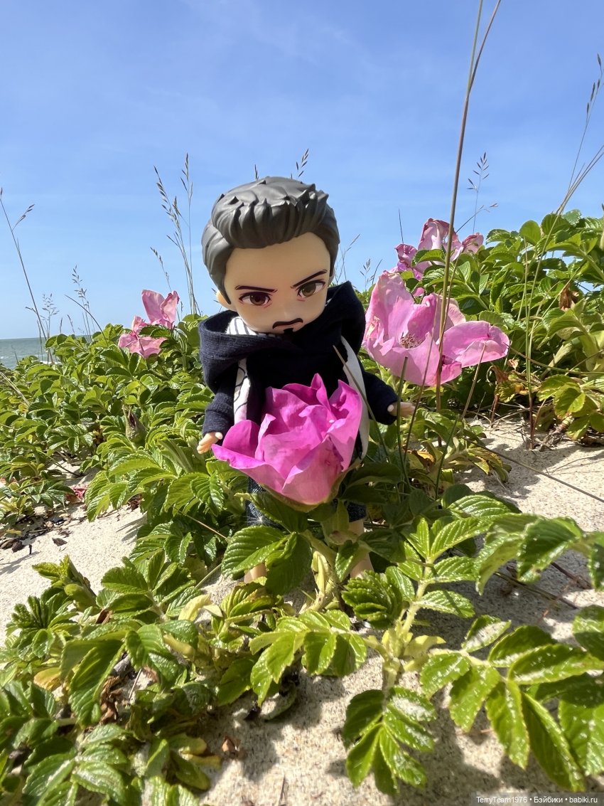 Удивительные путешествия мистера Чиби