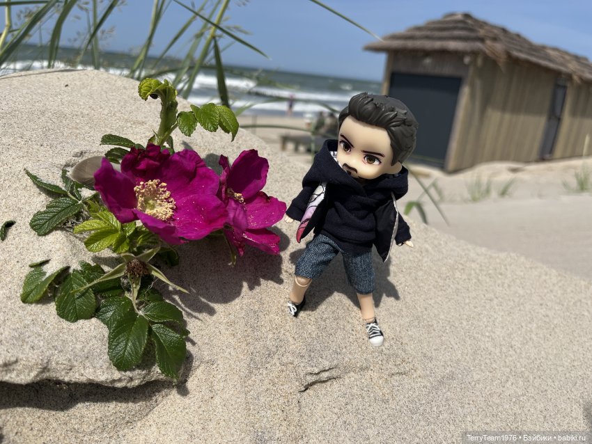 Удивительные путешествия мистера Чиби