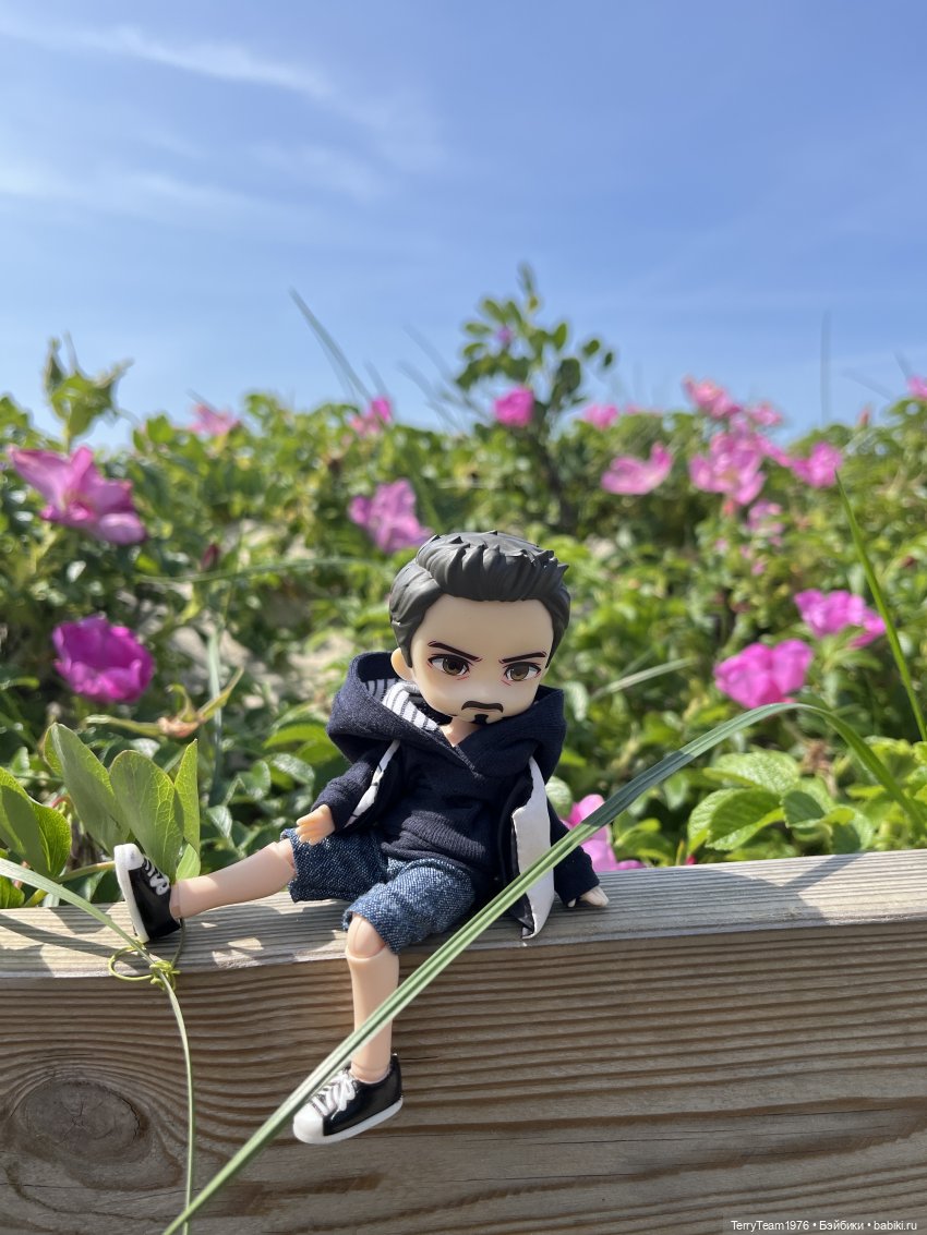 Удивительные путешествия мистера Чиби