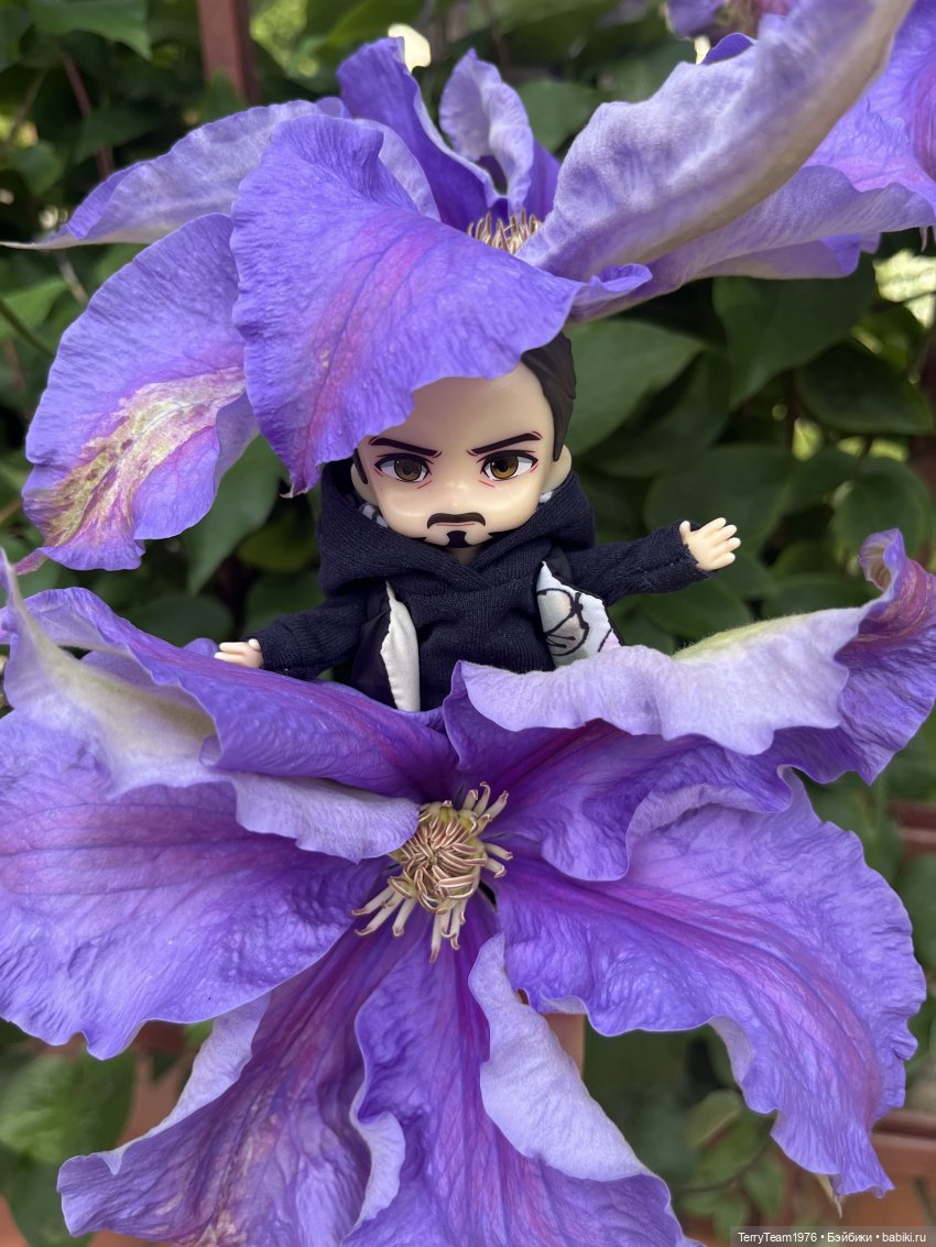 Удивительные путешествия мистера Чиби