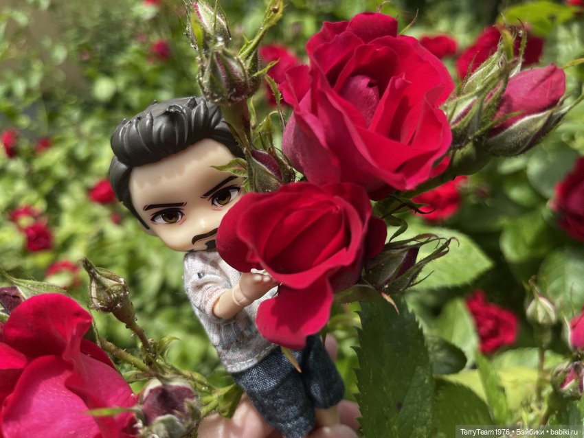 Удивительные путешествия мистера Чиби