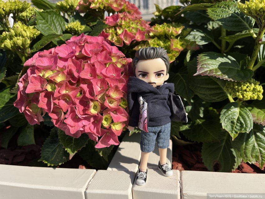 Удивительные путешествия мистера Чиби