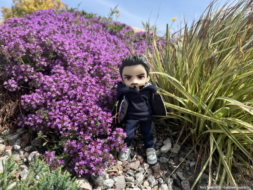 Удивительные путешествия мистера Чиби