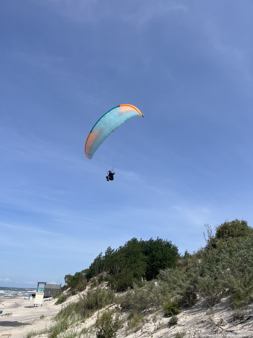 Удивительные путешествия мистера Чиби