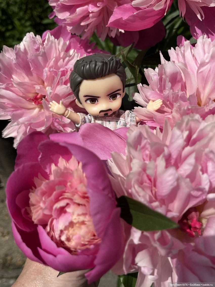 Удивительные путешествия мистера Чиби